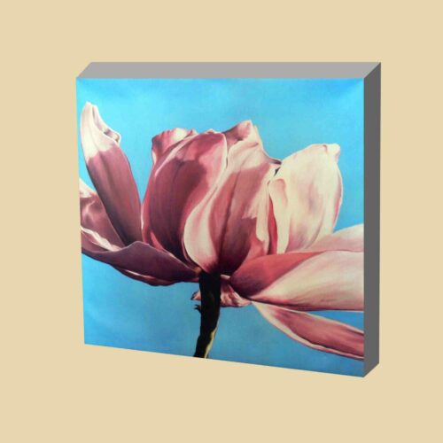 Magnolia