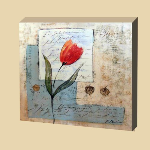Tulipán_1