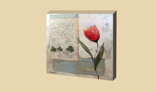 Tulipán_2