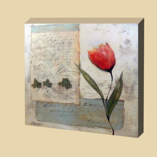 Tulipán_2